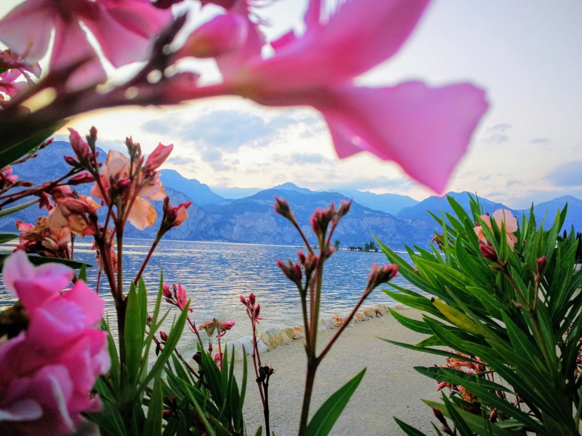Hotel Drago - Garda Lake Collection Brenzone sul Garda Bagian luar foto